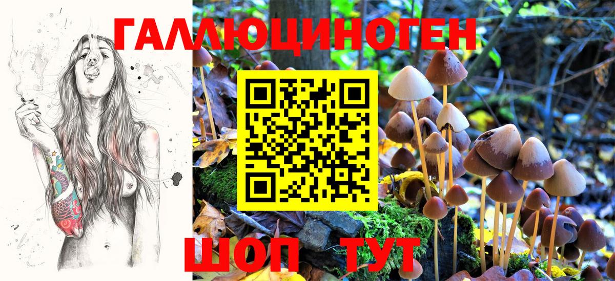 Псилоцибиновые грибы MAGIC MUSHROOMS Армавир